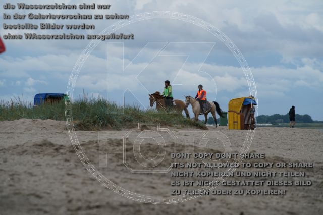 s_K3F04947.JPG